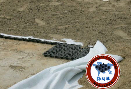 屋顶绿化排水板http://hbxcgl.com/
