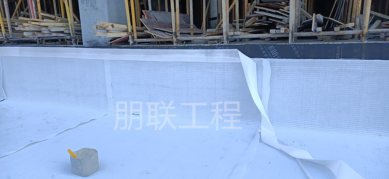 ED14高分子防护排水异形片